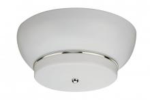Bowl Flush Mounts