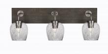 Toltec Company 1773-GPDW-4812 - Bathroom Lighting