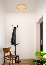 LD306F16BG_1.jpg