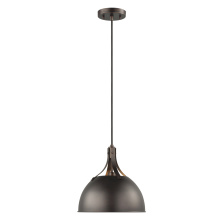 Visual Comfort & Co. Studio Collection 6524201-710 - Rockland One Light Pendant
