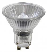 Flood Bulbs
