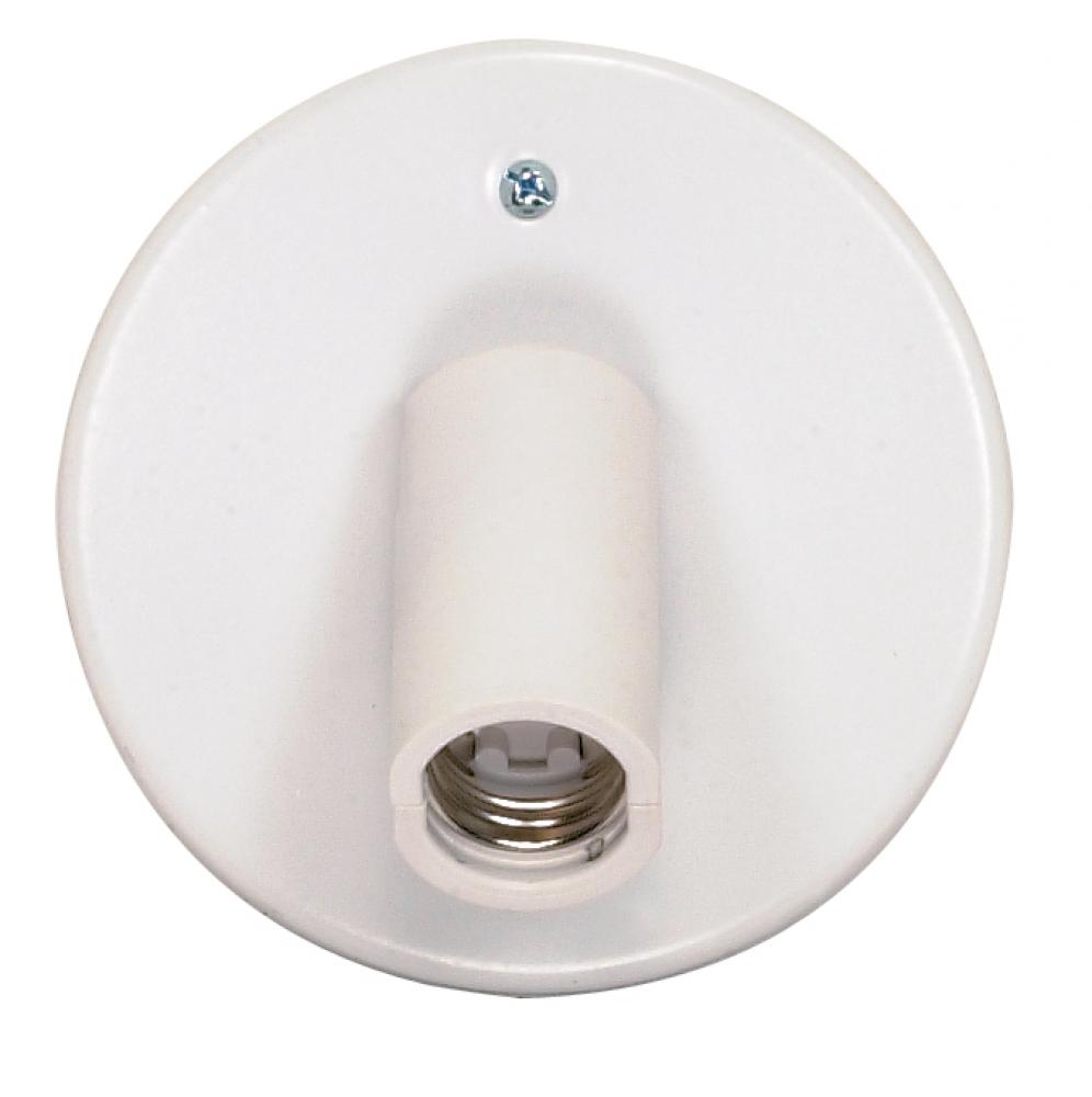 1-Light Ceiling Swivel Fixture; Carded