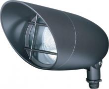 Spot Lights